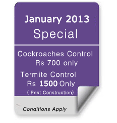 January 2013 Special Offer January 2013 Special Offer