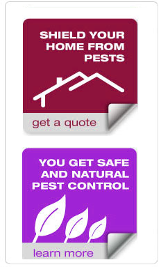 Pest Warriors Banner Pest Warriors Banner